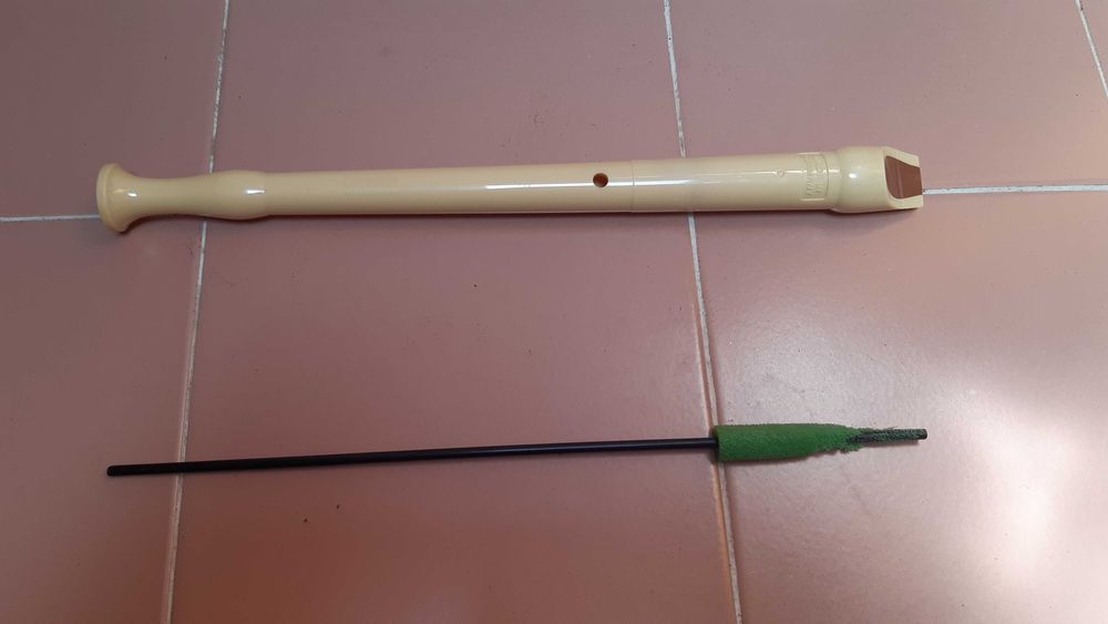 Flauta de bisel com capa