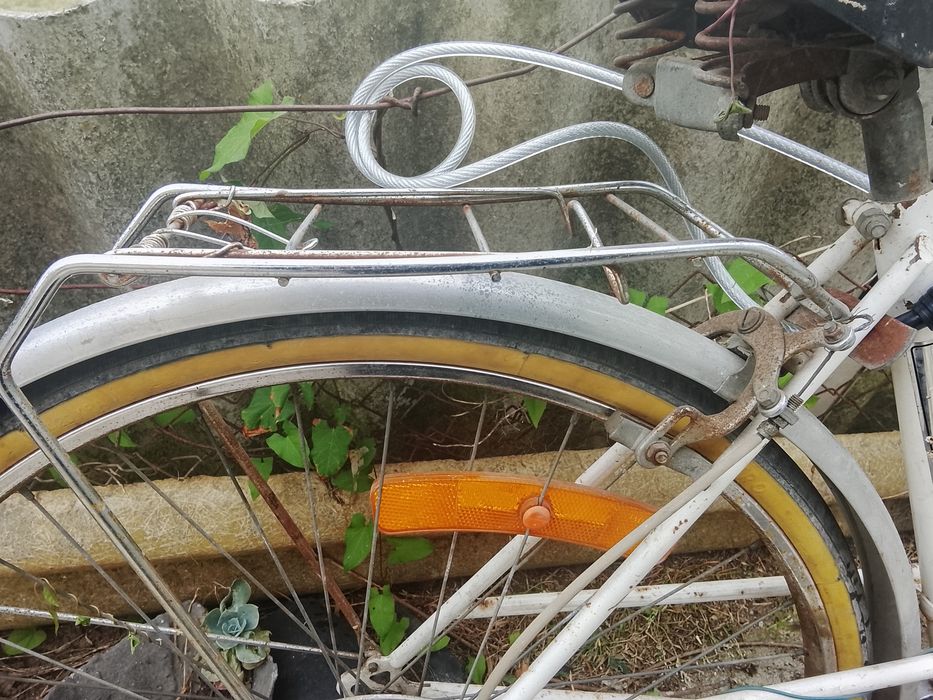 Bicicleta pasteleira kit incluído