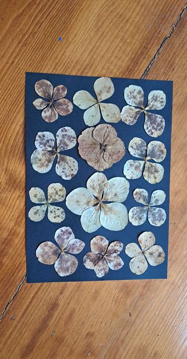 Azores Collection Frame - Black64584216567169124