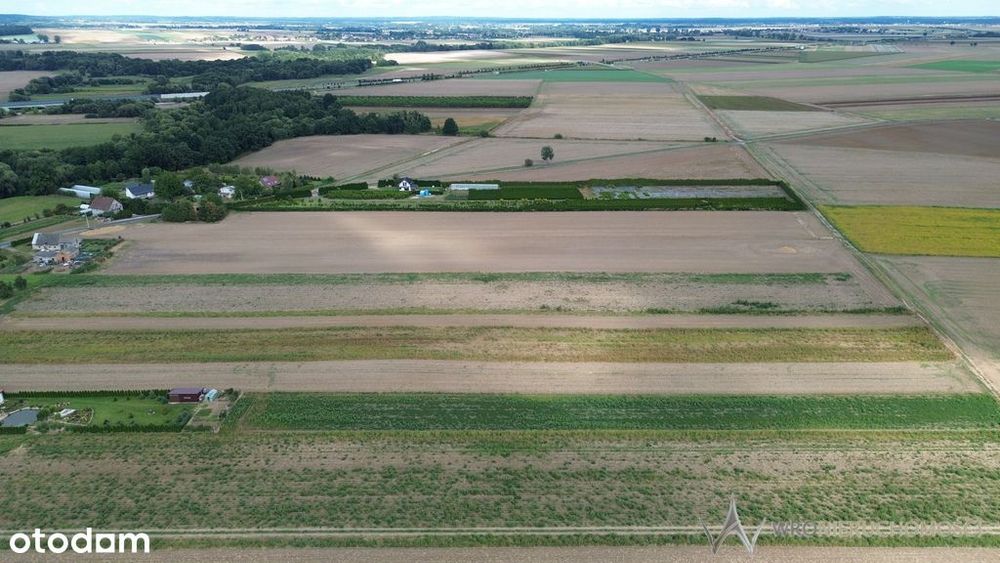 Działki 1,3550 HA oraz dom  i budynki gospodarcze - Widok 4