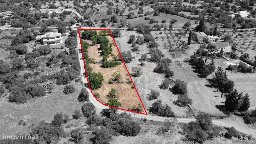 Terreno Rústico com 3.560 m² em Pereiro – Moncarapacho, Olhão
