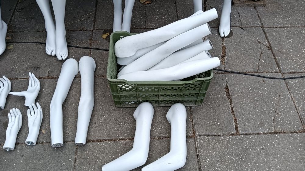 Manequins professionais femininos
