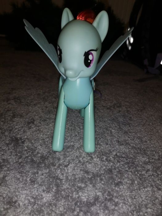 Konik pony Rainbow Dash