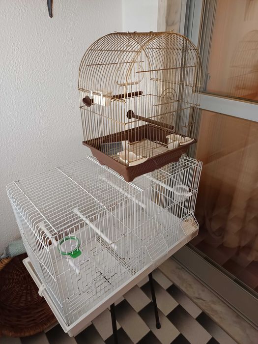 Gaiolas para canários