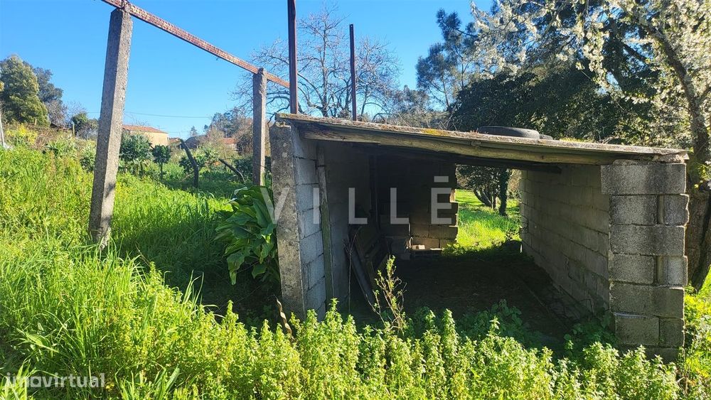 Terreno  Venda em Préstimo e Macieira de Alcoba,Águeda