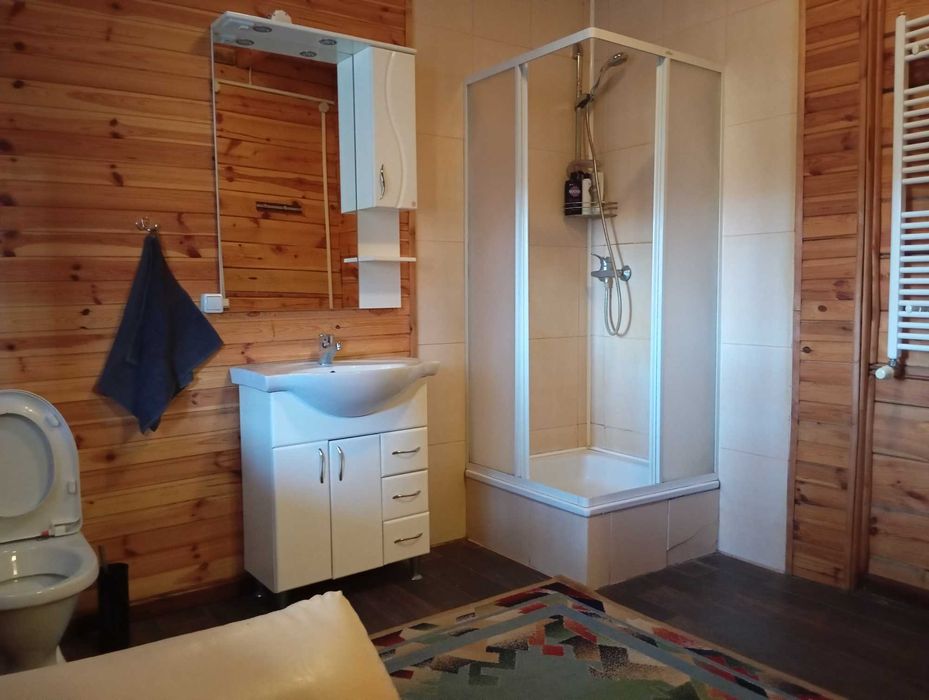 Відпочинок оренда будинку баня на березі озера Велике Облапи