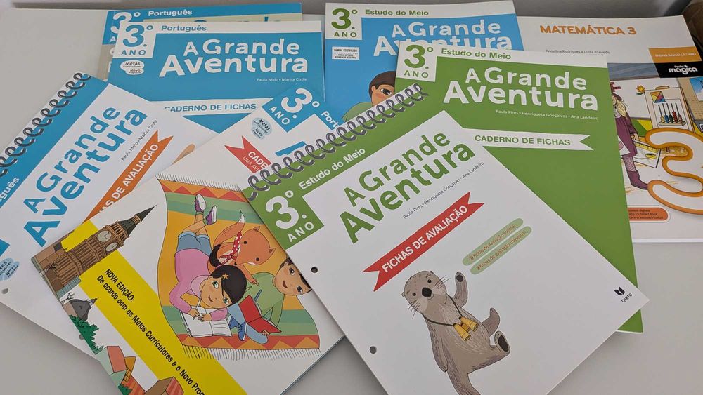 Conjunto de Manuais 3.º Ano + Livros de Fichas