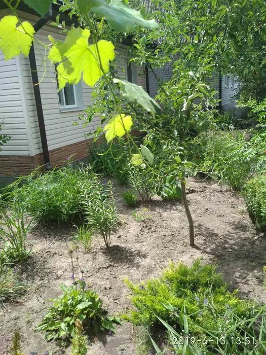 Продам дом в Знаменовке Днепропетровская область