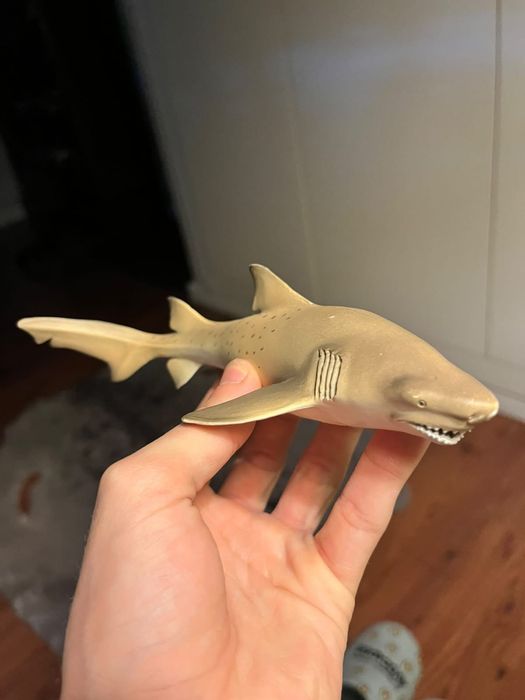 tubarão martelo é do oceanario, O tubarão limão é da cience4you e o T-rex também e o dinossauro Estegossauro (Stegosaurus
