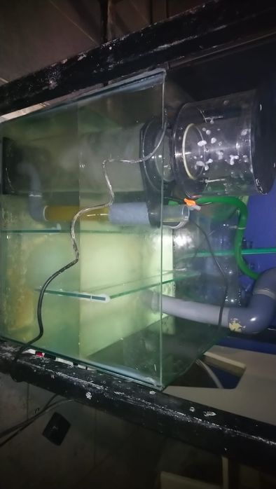 Aquário de água salgada