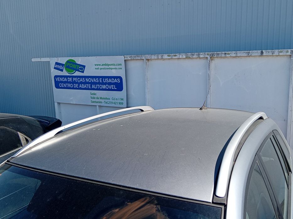 Tejadilho RENAULT Koleos I (HY_)