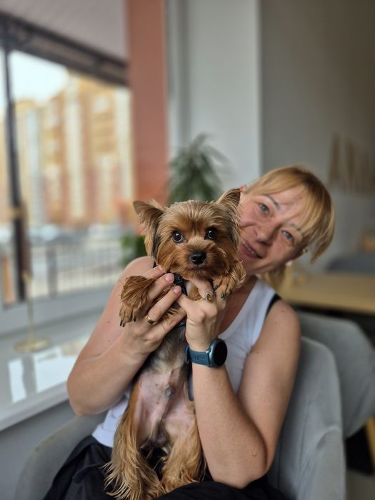 В'язка, молодий кобель шукає леді, документи КСУ