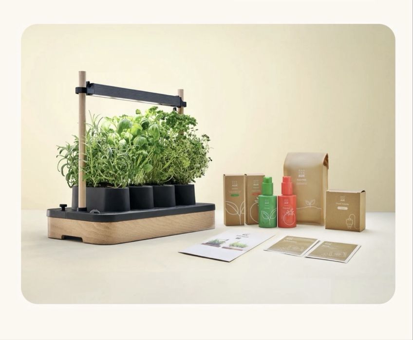 Skandynawki ogrod mini auk