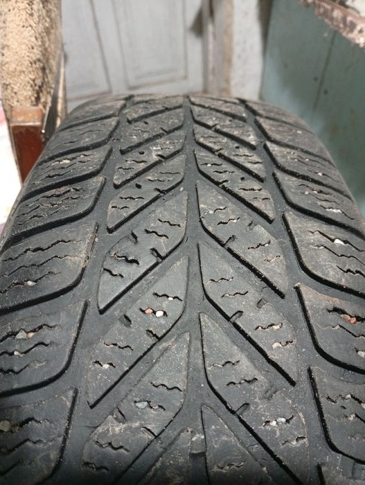 Шини Debica 185.65.15