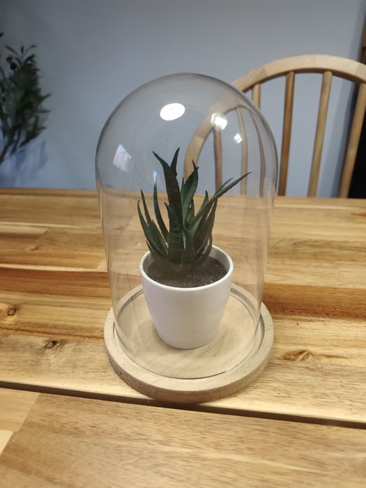Campânula com planta artificial
