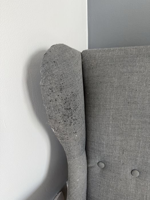 Fotel uszak IKEA Strandmon