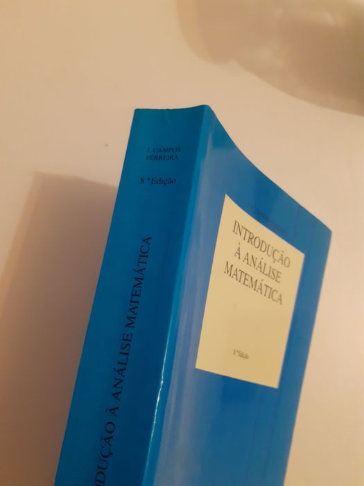 Introdução à analise matemática