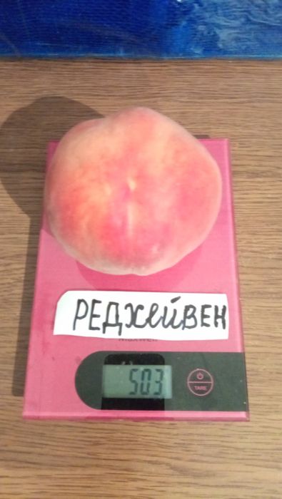 Черенки плодових дерев