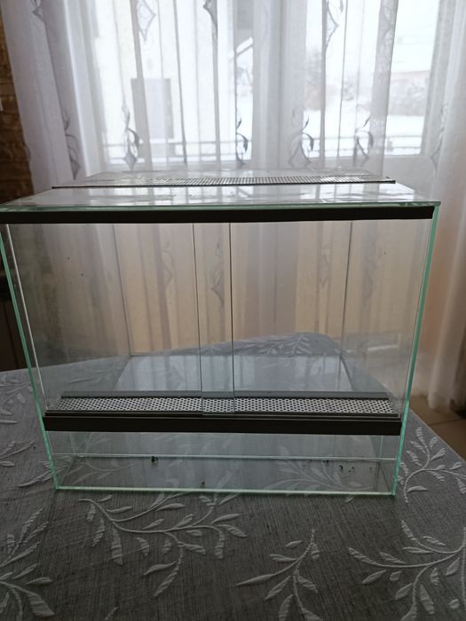 Terrarium dla patyczaków.