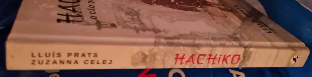 Hachiko - O Cão que esperava de LLuis Prats
