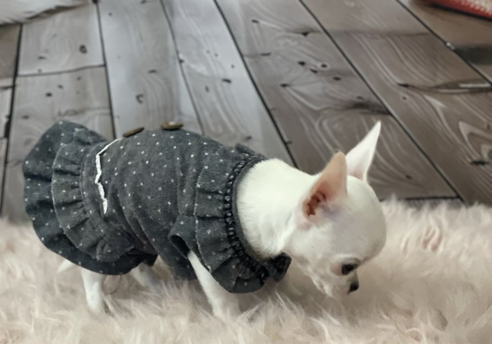 Дівчинка красунечка міні