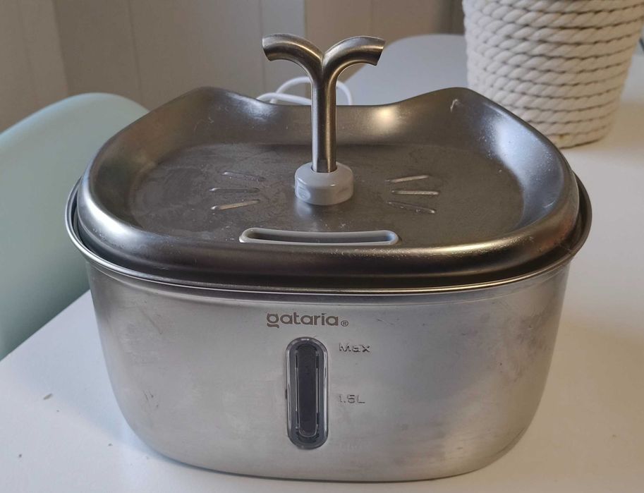 GATOS: Fonte de água