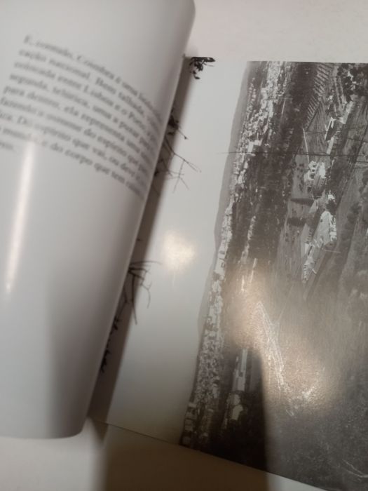 A Coimbra de Miguel Torga