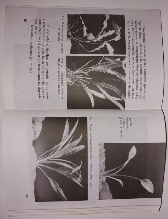 Livro "O Aquário de Água Doce" de Paulo de Oliveira