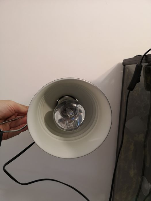 Acessórios Répteis ExoTerra ZooMed Reptiland