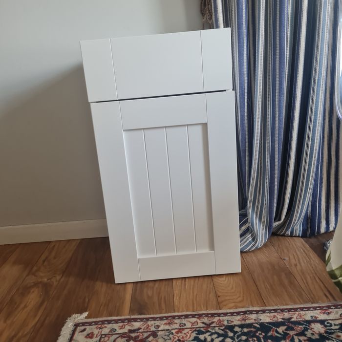 Alpinia  castorama front  50cm