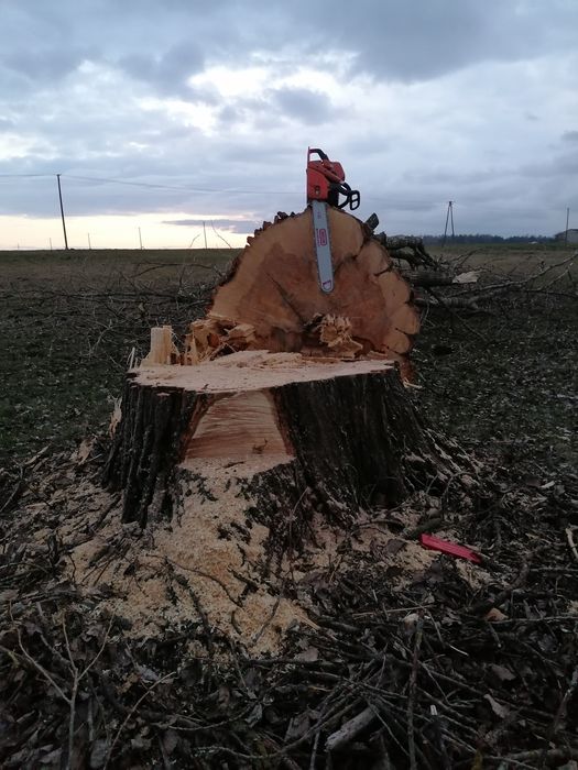 Mulczer wgłębny leśny czyszczenie działek krzaków sadów lasów samosiew