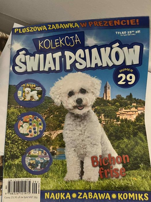 pluszowy piesek z gazetką