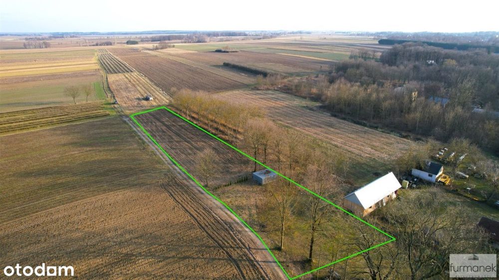 Duża działka budowlana w Tarnogrodzie