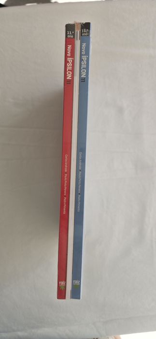 Livro 11 ano Matemática NOVOS
