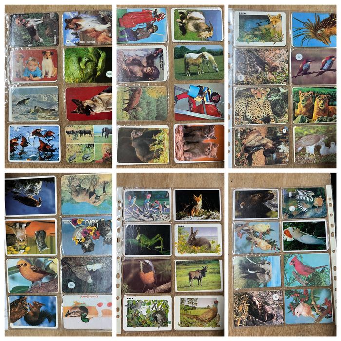 Calendários de bolsos