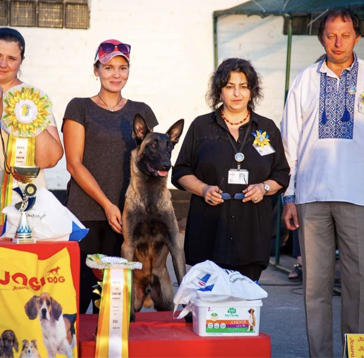 Професійний кінолог. Інструктор та суддя з робочих якостей КСУ