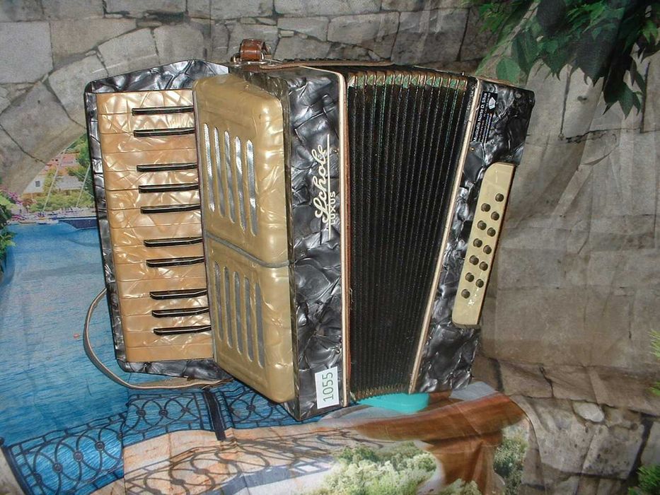 Concertina para venda N, 1055 Penedono • OLX Portugal