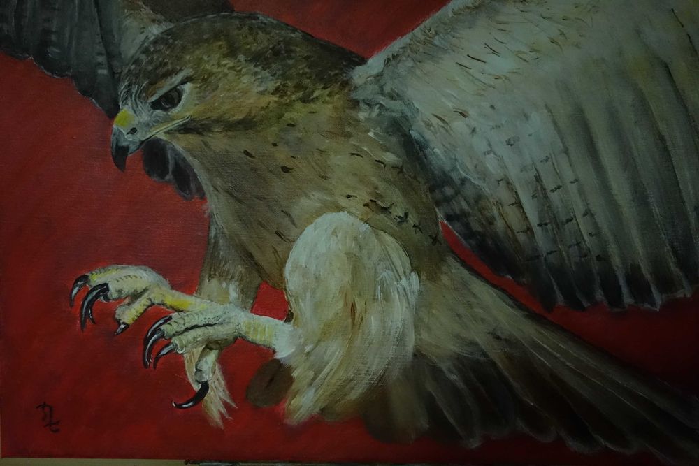 Pintura de águia - Benfiquistas