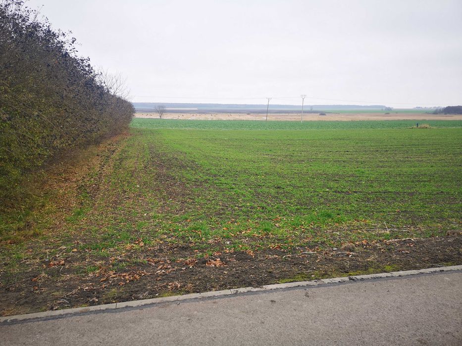 Działka Budowlana Machnów Nowy
