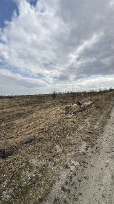 Ранчо. Продаж земельноі ділянки 25 соток.
