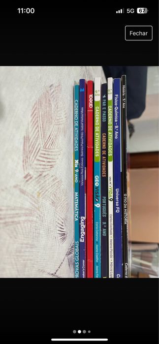 Livros de fichas 9 ano