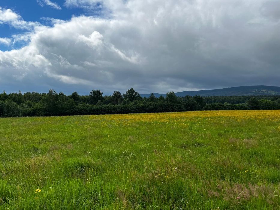 Działka budowlana w górach na sprzedaż - Starków, Kotlina Kłodzka