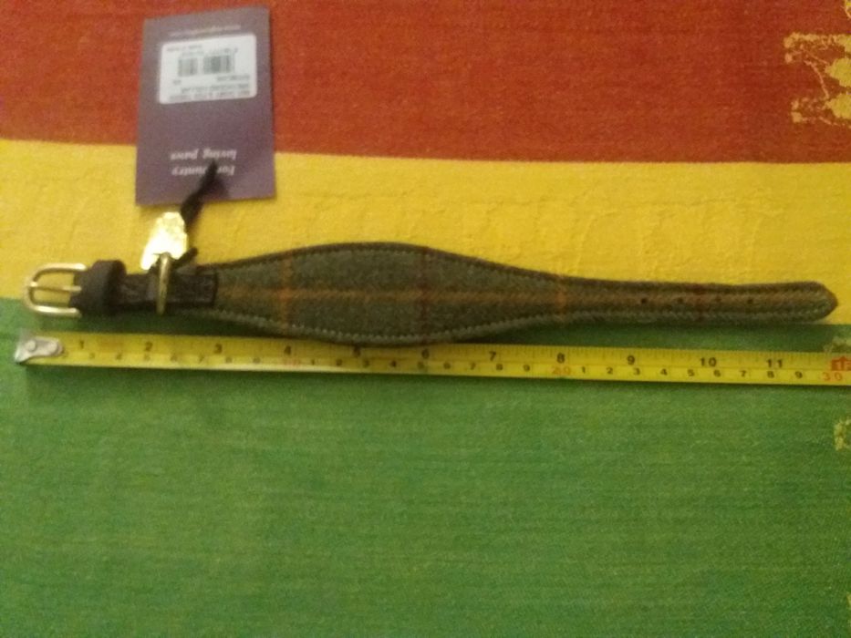 Coleira para cão de pequeno porte