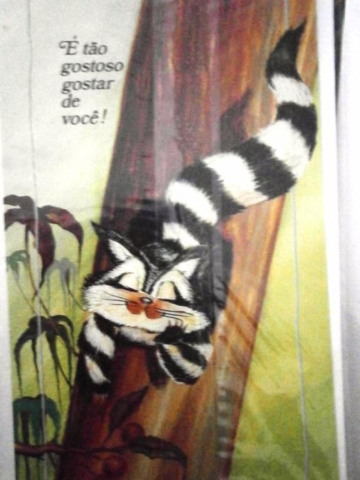 Postais de Amor ainda embalados
