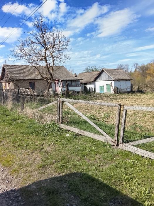 Продам будинок з земельною ділянкою