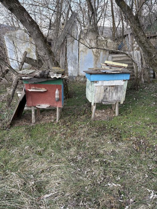 Продам вулики з рамками 30шт