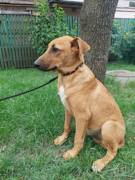 Хлопчик, Тім ~5 місяці