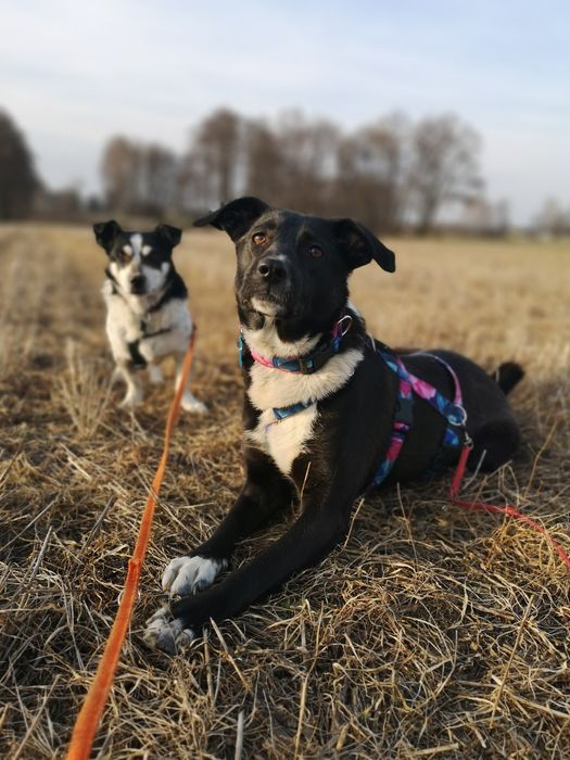 Delikatna i radosna Zosieńka