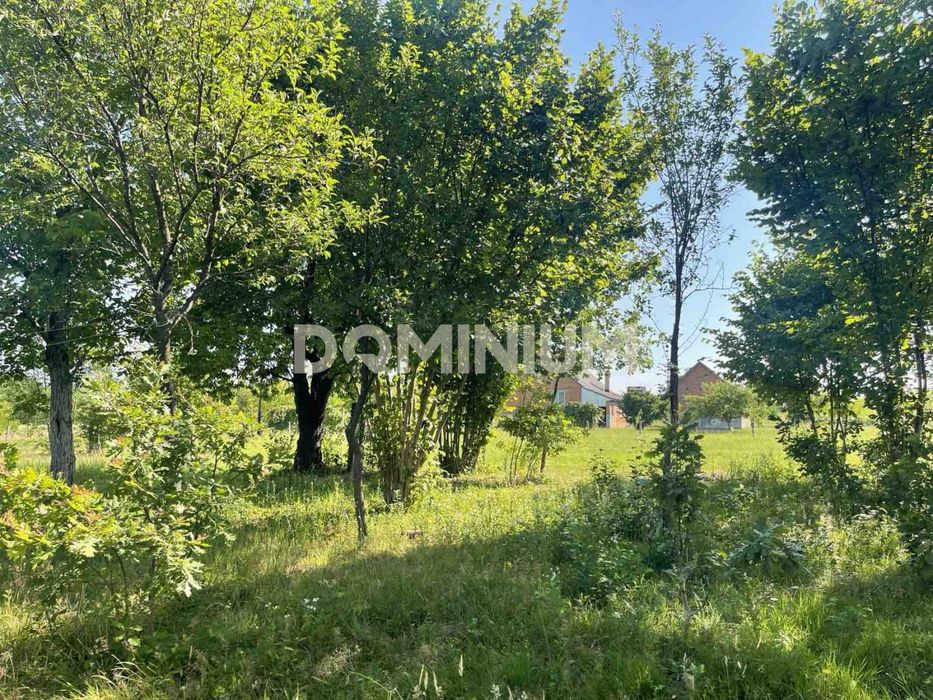 Продається будинок в селі Золотарьово