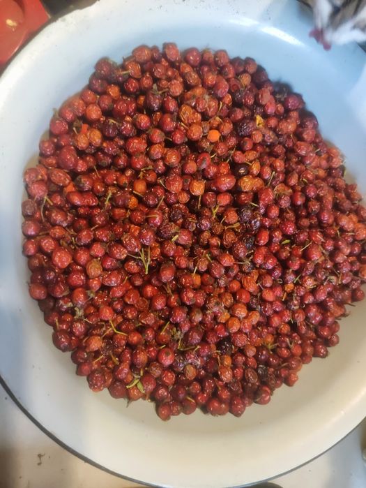 Сушена шипшина 2025 року,джем з шипшини